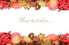 Autumn Leaves And Fruits Isolated Royalty Free Stock Photography Autumn Leaves And Fruits Isolated Royalty Free Stock Photography