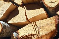 Birch Wood Royalty Free Stock Images Birch Wood Royalty Free Stock Images