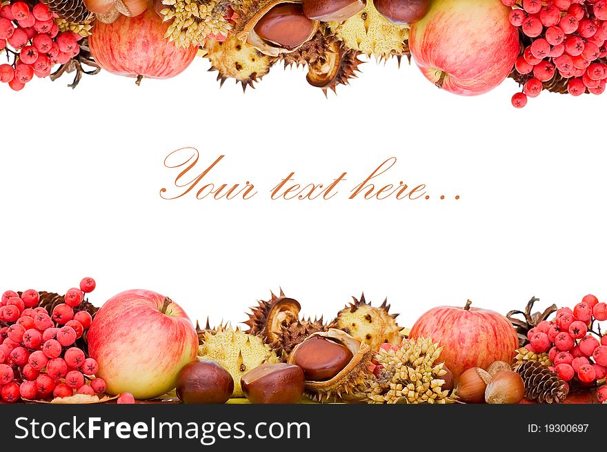 Autumn leaves and fruits isolated on white