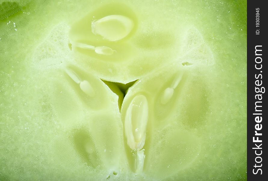 Fresh cut of cucumber. Macro view.