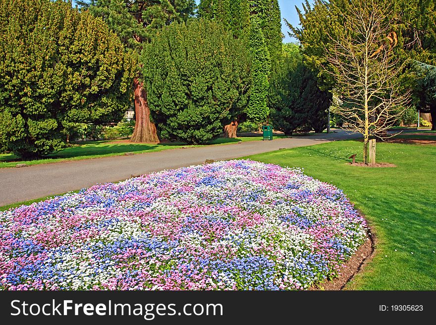 Beautiful park with 3 colour flowers, forget me nots