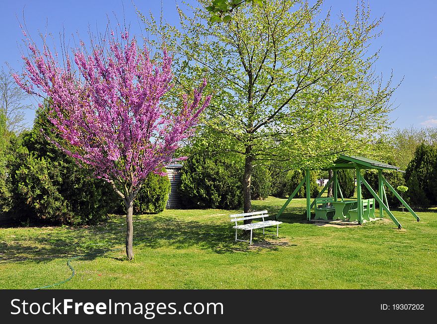 Lilac park with bench and trees