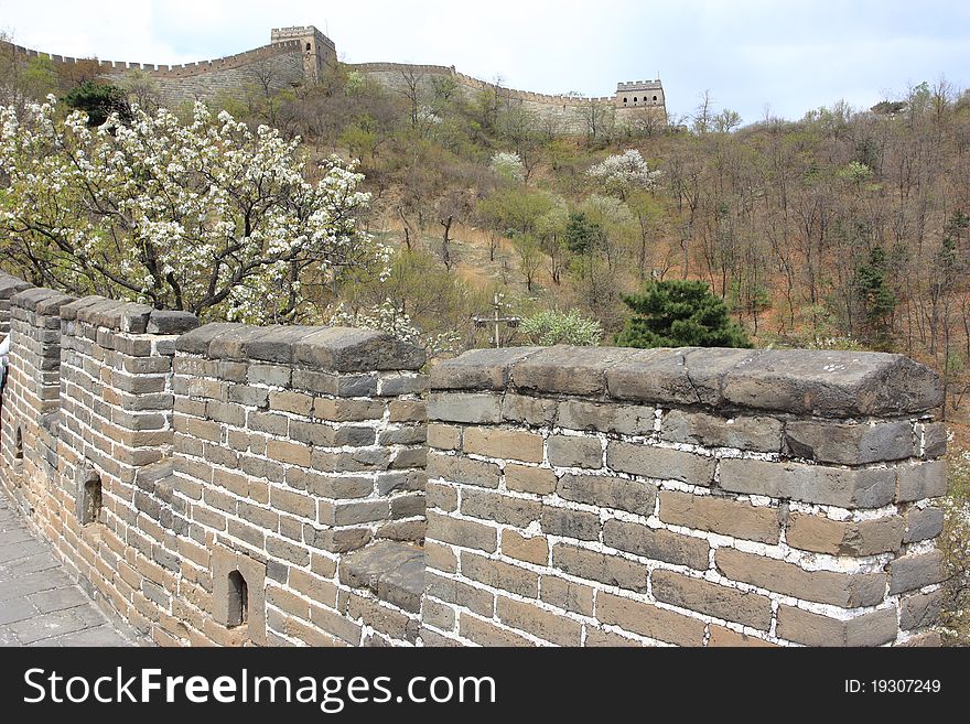 The great wall of China, with a beautiful mountain in spring .