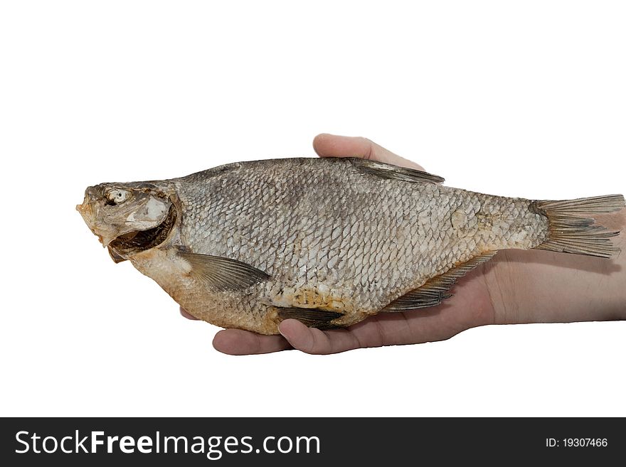 Fish dried in a hand on a white background. Fish dried in a hand on a white background