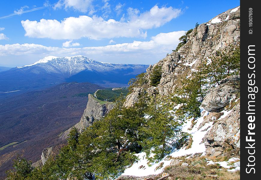 Rocky mountains covered with forest and snow