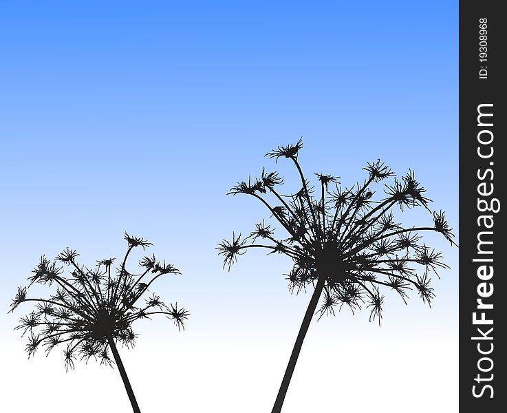 Plant silhouette against sky, background for a postcard