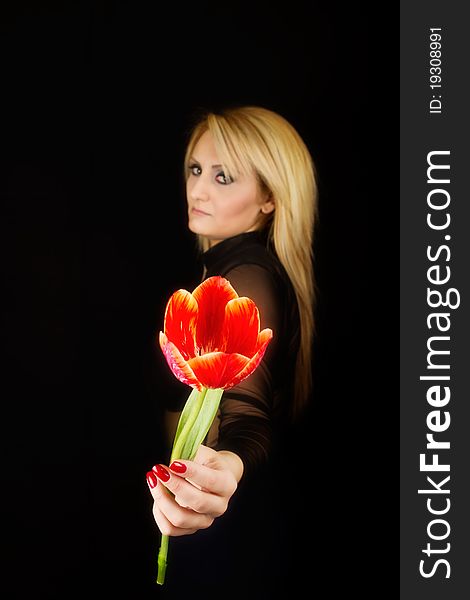 Stylish Woman with red tulip on white background