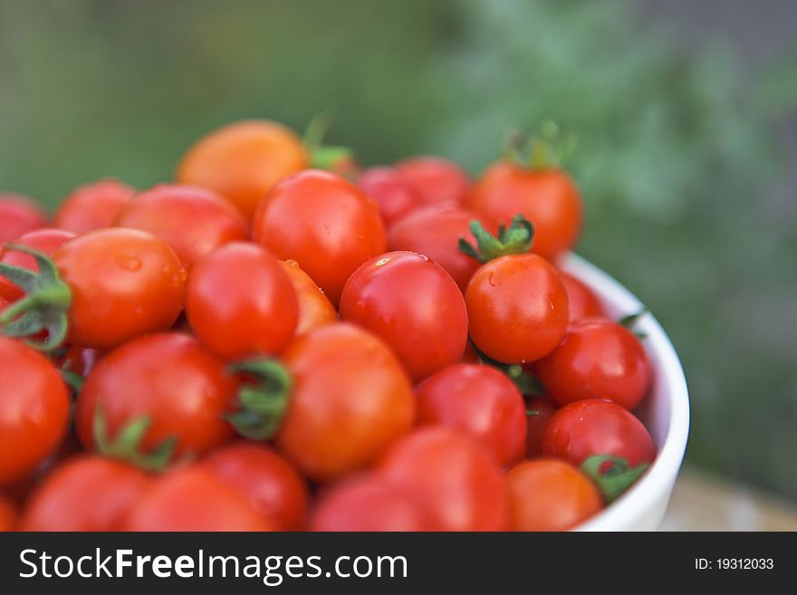 A bowl of fresh cherry tomatoes. A bowl of fresh cherry tomatoes