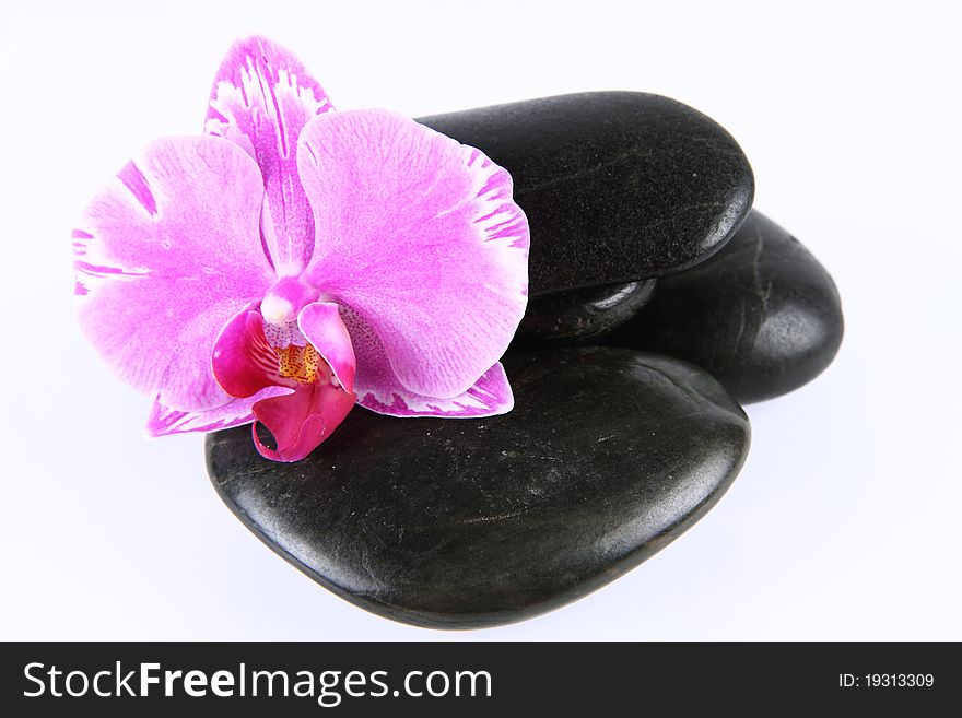 Spa stones and an orchid flower on a white background. Spa stones and an orchid flower on a white background