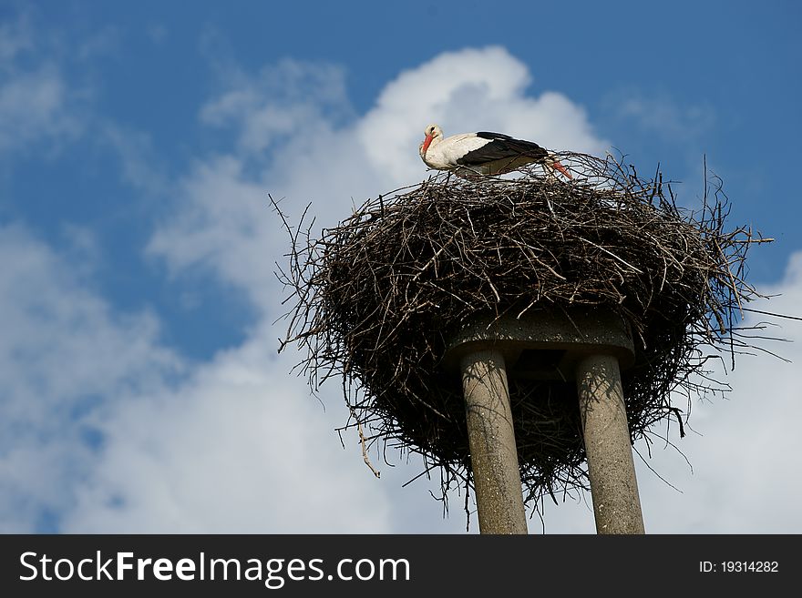 Stork nest on the top of concrete pole on sunny day