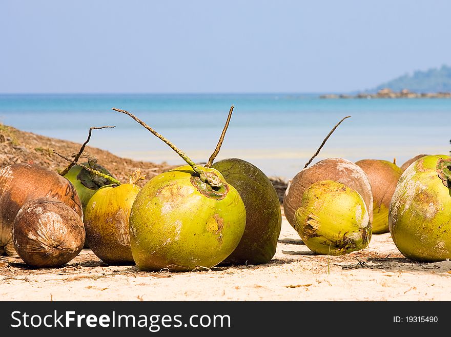 Coconuts on the beach . Thailand .