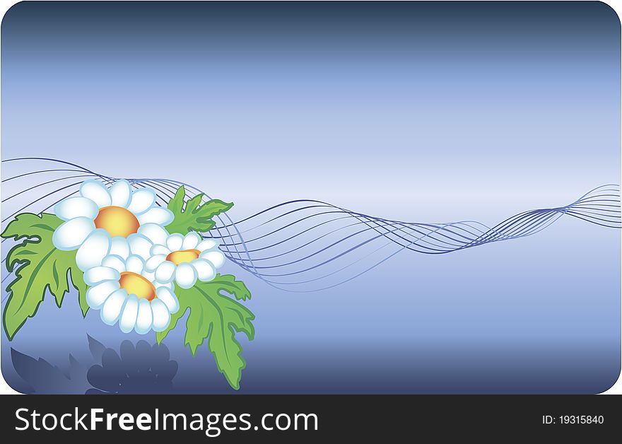Card with chamomile background and abstract lines. Card with chamomile background and abstract lines