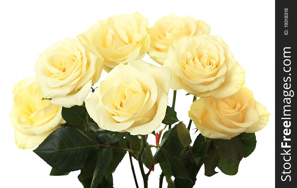 Beautiful bouquet of white and yellow roses. Beautiful bouquet of white and yellow roses.