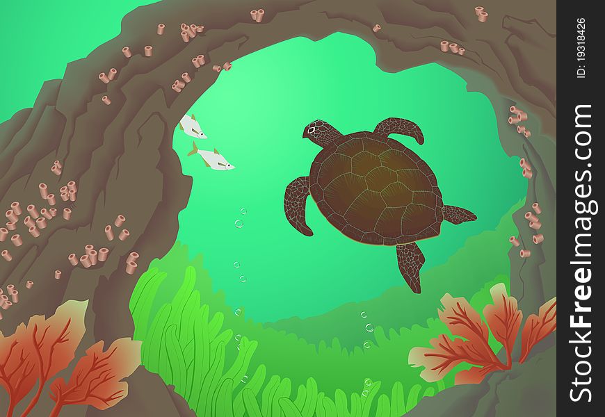 Underwater scene with turtle, kelp, fish and coral. Underwater scene with turtle, kelp, fish and coral.