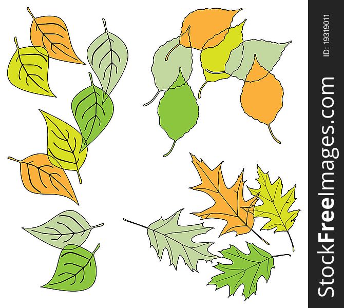 Leaf, collection for designers - 2d