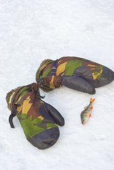 Camouflage Mittens And Perch On Snow. Stock Images Camouflage Mittens And Perch On Snow. Stock Images