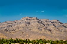 Palm Trees In The Mountains Royalty Free Stock Images Palm Trees In The Mountains Royalty Free Stock Images