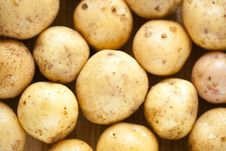 Fresh Potatoes Royalty Free Stock Images