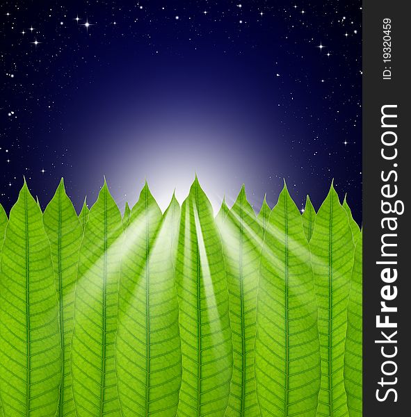 Leaves frame on Stars in the night sky background. Leaves frame on Stars in the night sky background