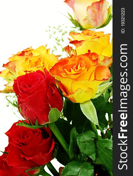 Colorful roses, beautiful flower bouquet on white. Colorful roses, beautiful flower bouquet on white