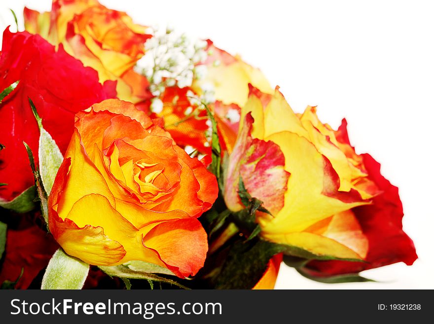 Colorful roses, beautiful flower bouquet on white. Colorful roses, beautiful flower bouquet on white