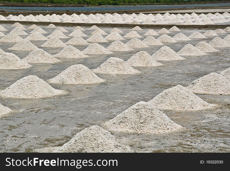 Salt farm saline manufacturing in thai