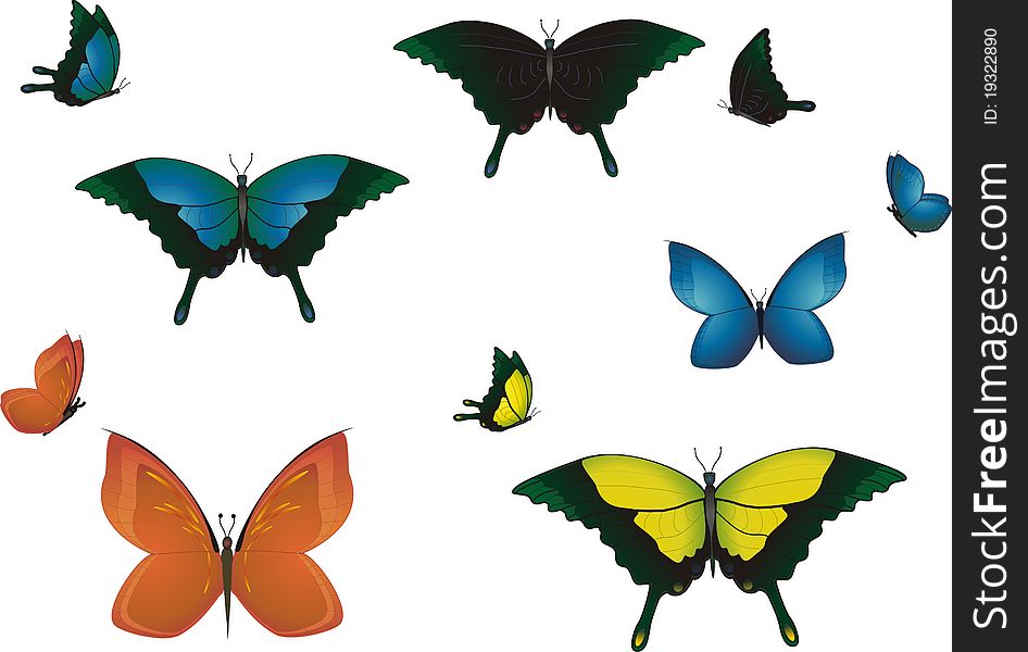 Five multicolored butterflies.Vector set.