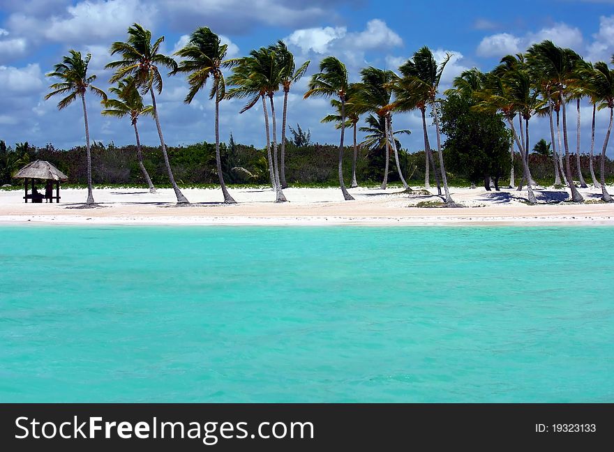 Turquoise ocean, white sand beach and palm trees. Turquoise ocean, white sand beach and palm trees