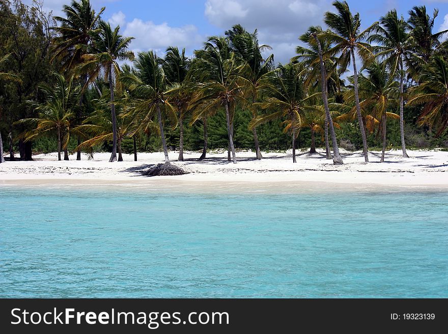 Turquoise ocean, white sand beach and palm trees. Turquoise ocean, white sand beach and palm trees