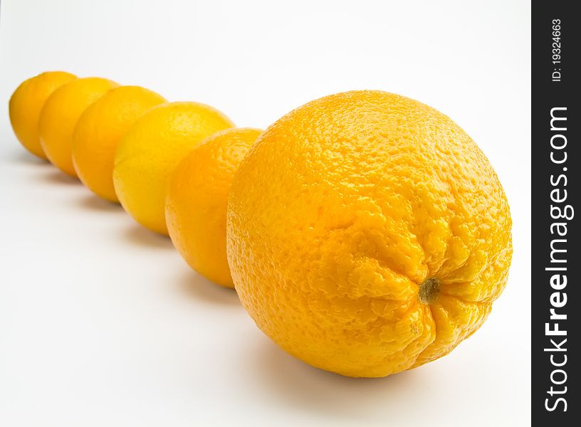 Oranges in line isolated on a white background