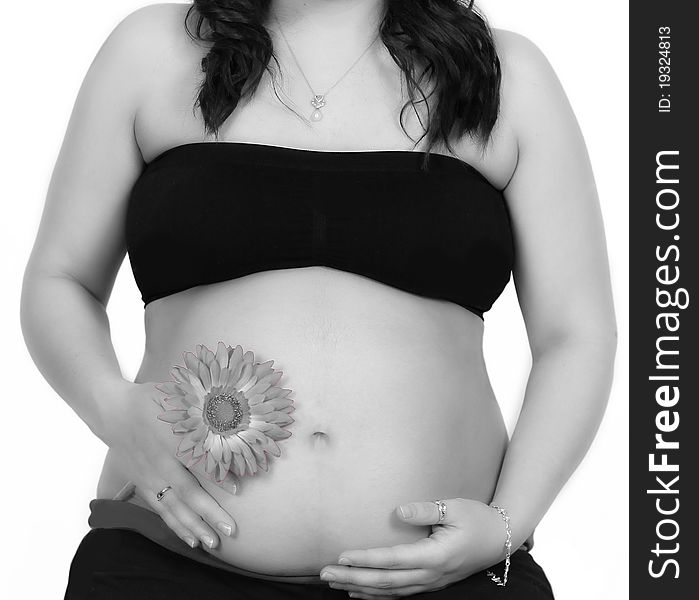 Beautiful pregnant stomach with daisy closeup isolated and Black and white. Beautiful pregnant stomach with daisy closeup isolated and Black and white