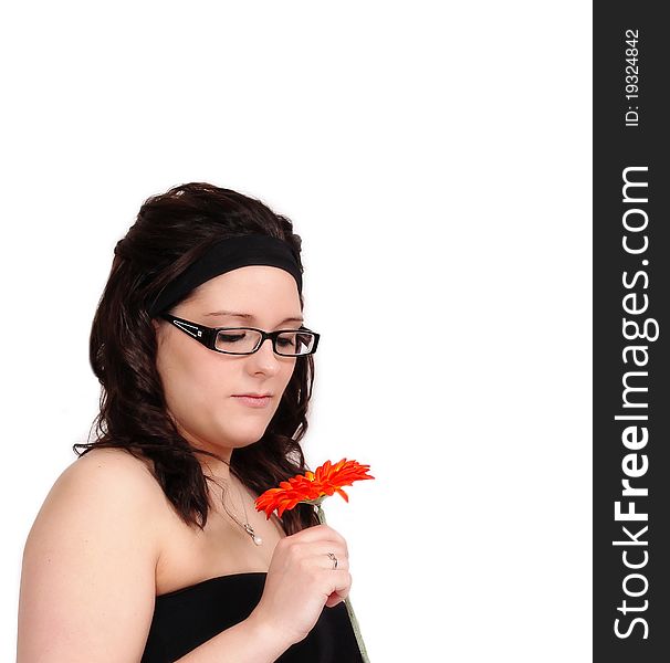 Beautiful young woman looking down and admiring the colourful orange daisy she is holding closeup. isolated. Beautiful young woman looking down and admiring the colourful orange daisy she is holding closeup. isolated