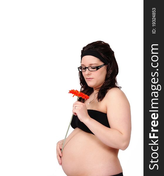 Beautiful pregnant woman with bare belly admiring  the bright orange daisy in  her hand. isolated. Beautiful pregnant woman with bare belly admiring  the bright orange daisy in  her hand. isolated