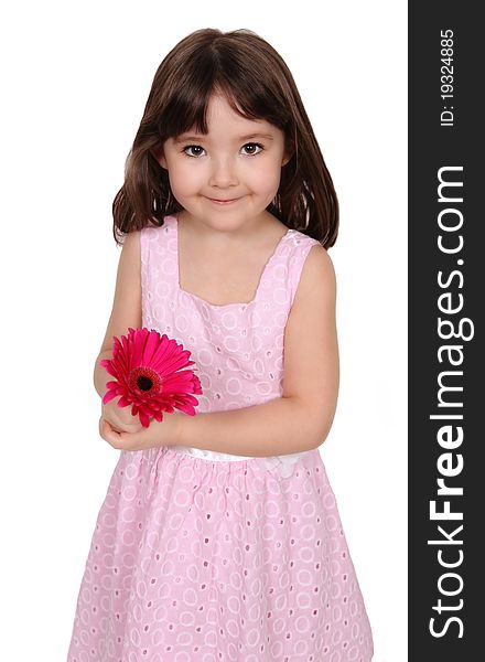 Sweet little girl in pink dress holding vibrant pink daisy and smiling. isolated. Sweet little girl in pink dress holding vibrant pink daisy and smiling. isolated