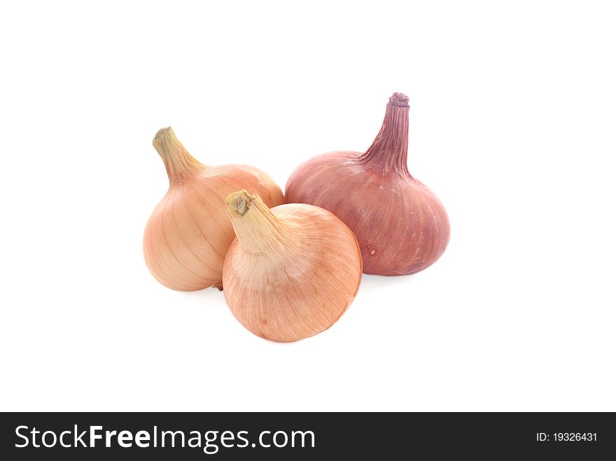 Onion on a white background.