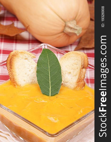 Cream of squash soup in a squared glass plate with toasted bread and a bay leaf. Pumpkin out of focus in the background.