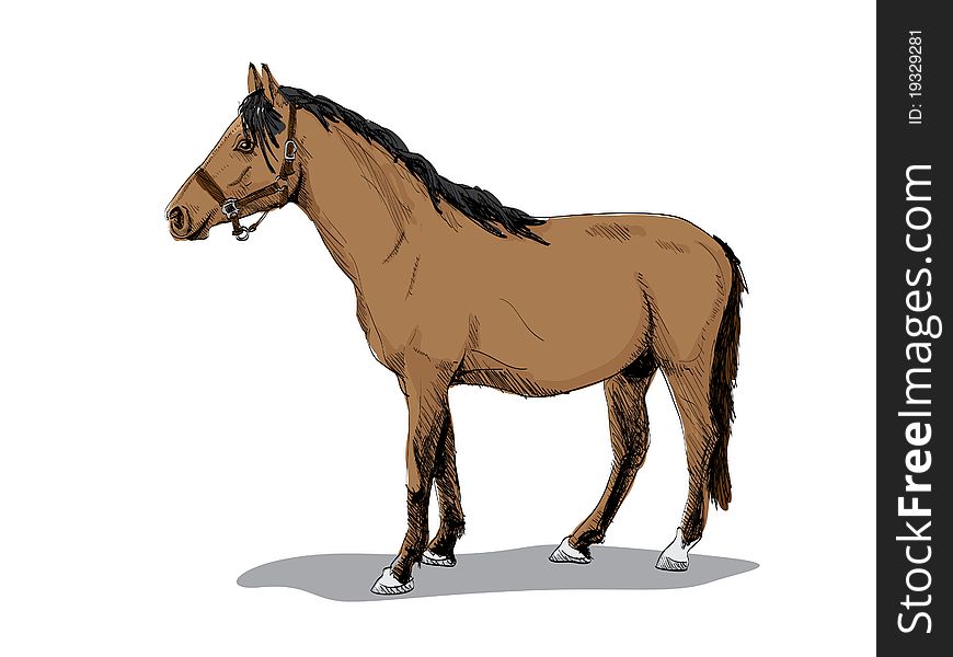 Isolated brown standing horse - illustration
