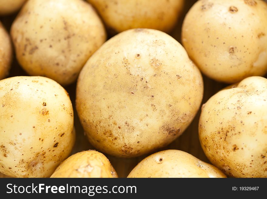 A lot of fresh raw potatoes, close-up. A lot of fresh raw potatoes, close-up