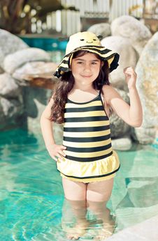 Bumble Bee Swim Suit Stock Images Bumble Bee Swim Suit Stock Images