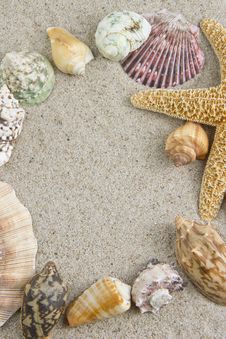 Starfish Frame Royalty Free Stock Images