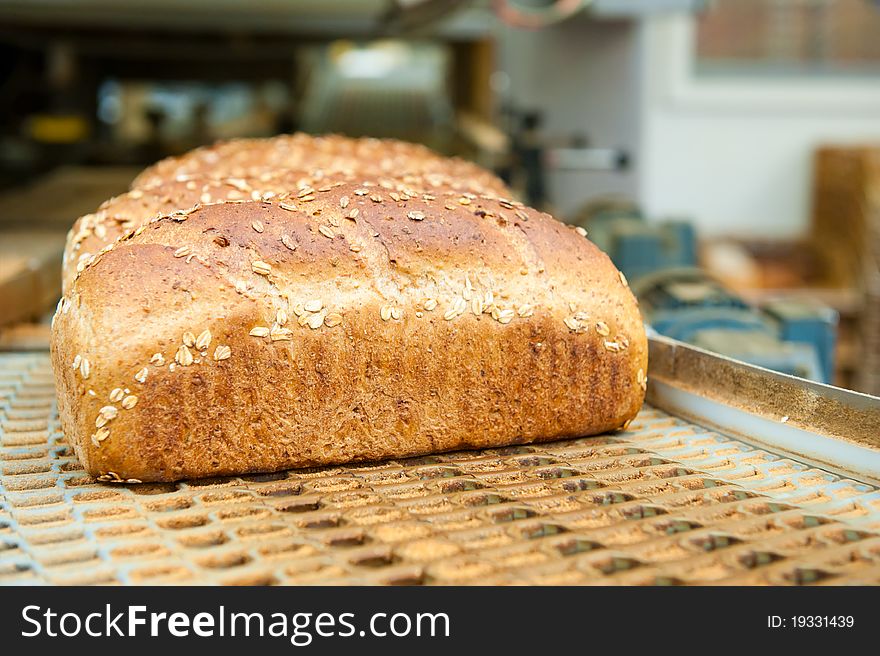 Loafs Of Bread In The Factory