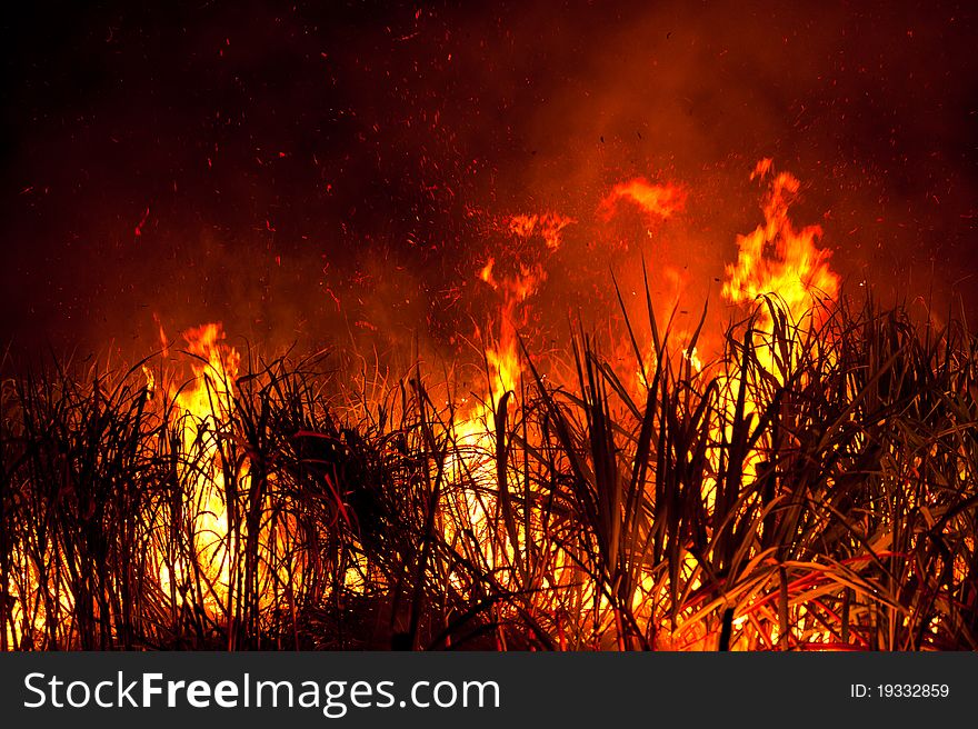 Big fire on the farmland