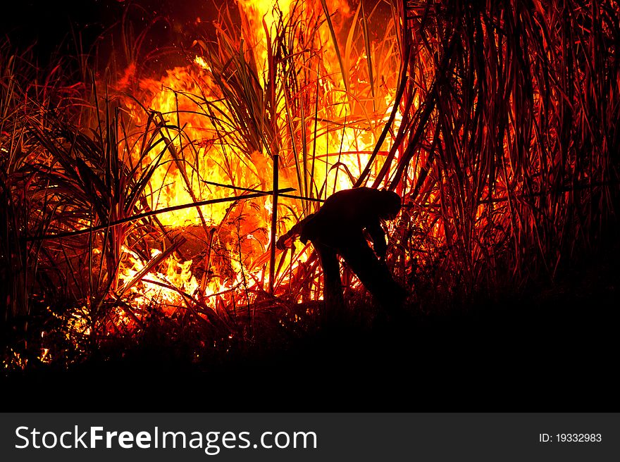 Big fire on the farmland