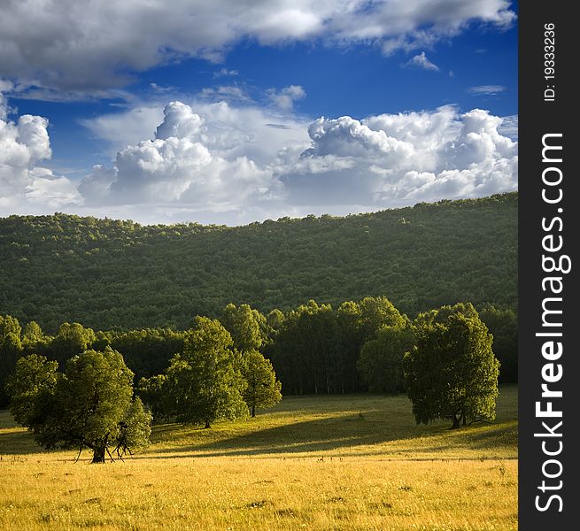 Meadow With The Dry Grass And Green Trees