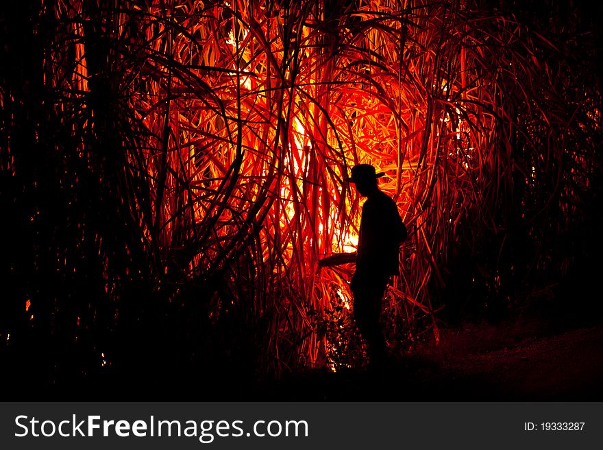 Big fire on the farmland