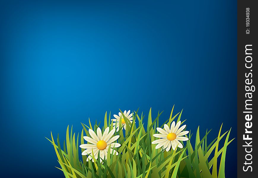 Flower in green grass and blue background