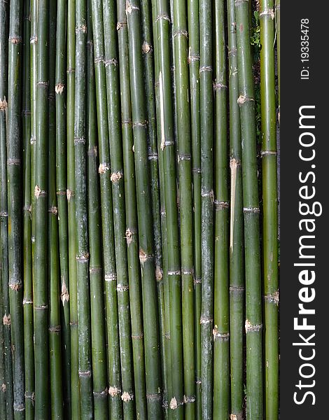 Green bamboo strip as background. Green bamboo strip as background.