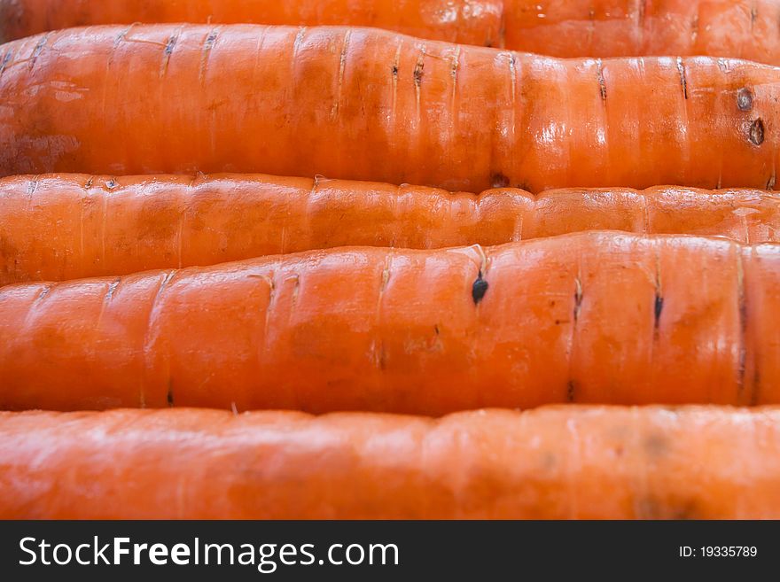 Carrots arranged in a row