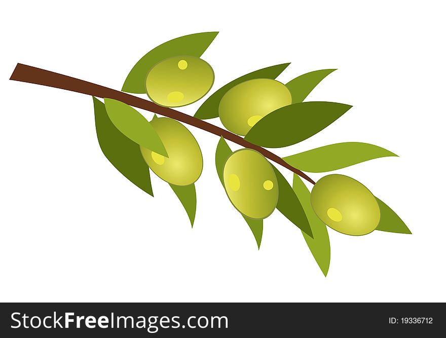 Illustration of olive branch with olives