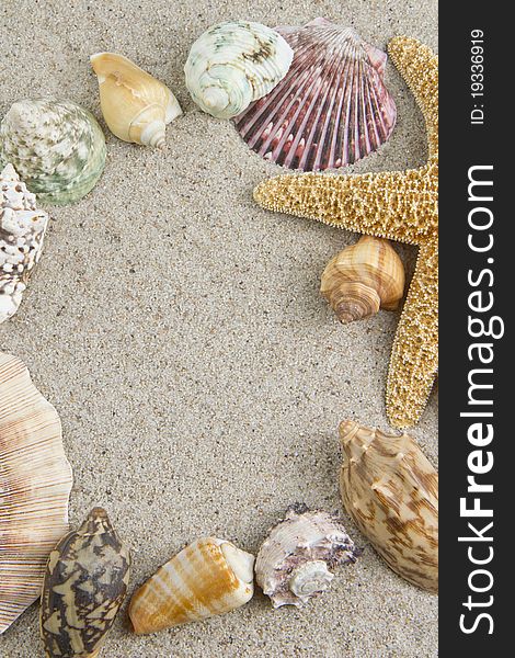 Starfish and sea shells on sand frame. Starfish and sea shells on sand frame